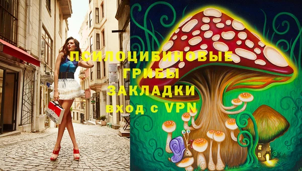сатива Аркадак