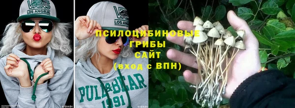 сатива Аркадак