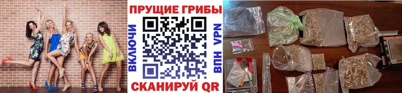 Псилоцибиновые грибы GOLDEN TEACHER  Калач-на-Дону 