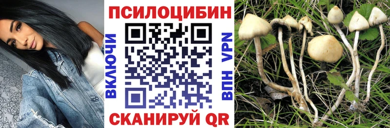 Галлюциногенные грибы Cubensis Калач-на-Дону